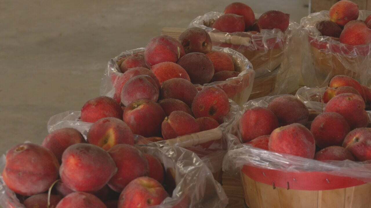 Porter Orchard's Peach Crops Significantly Damaged By Weather