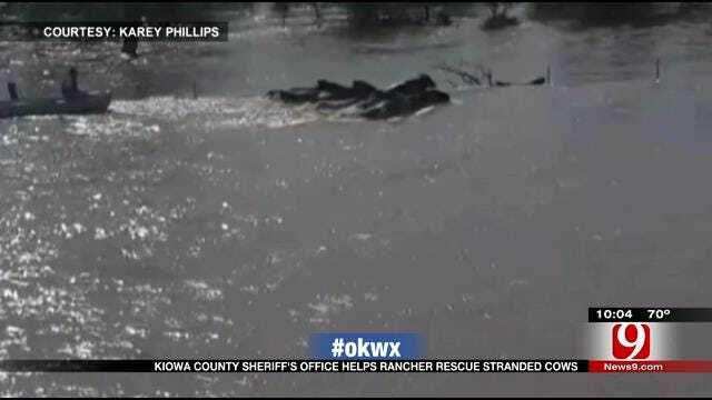 Kiowa Co. Crews Rescue Herd Of Cows From Drowning