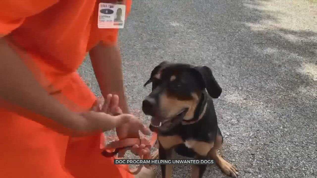 Okla. Inmates Give Unwanted Dogs Second Chance Through 'Bark Busters' Program