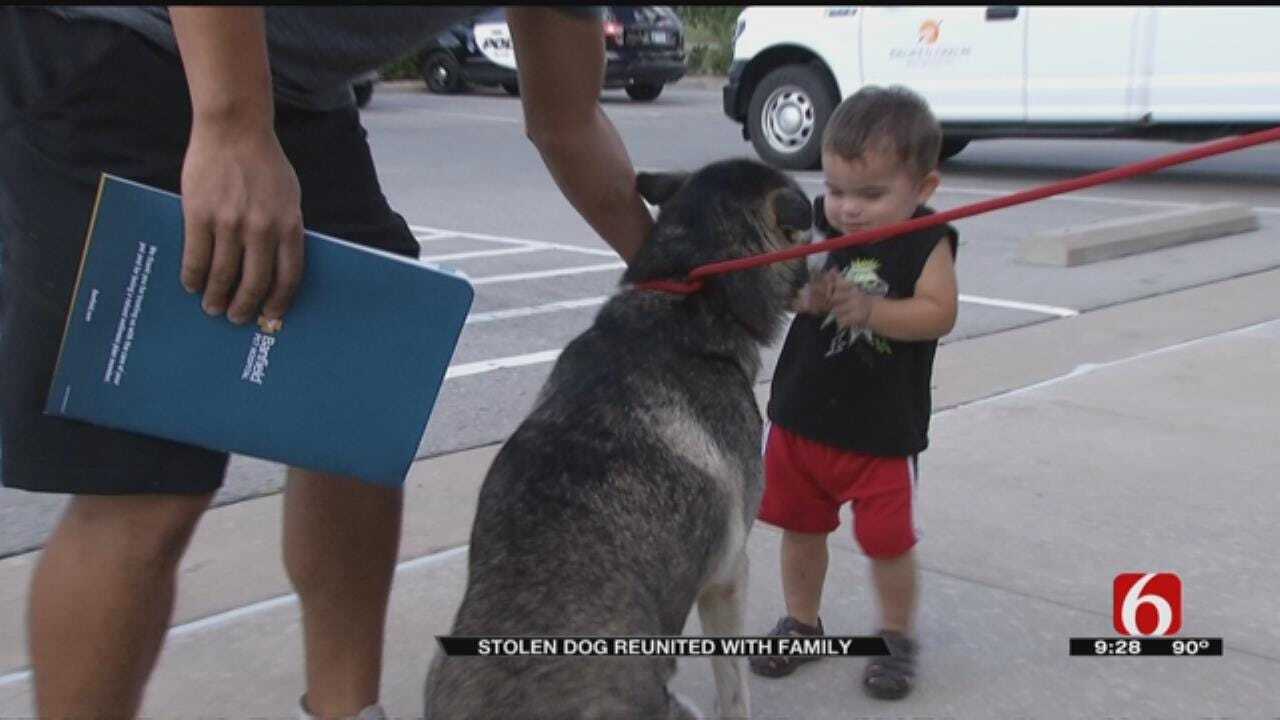 Dog Stolen From OKC Family Reunites After Being Found In Broken Arrow