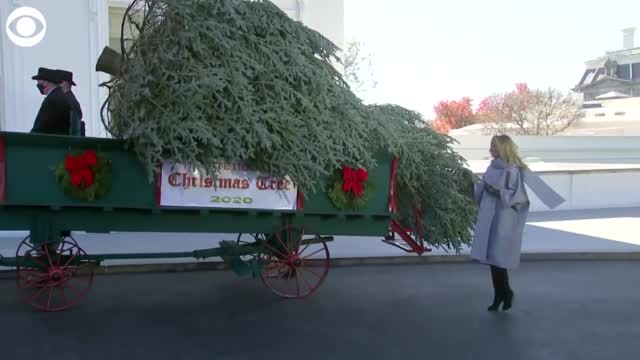 WATCH: First Lady Melania Trump Accepts The White House's Christmas Tree