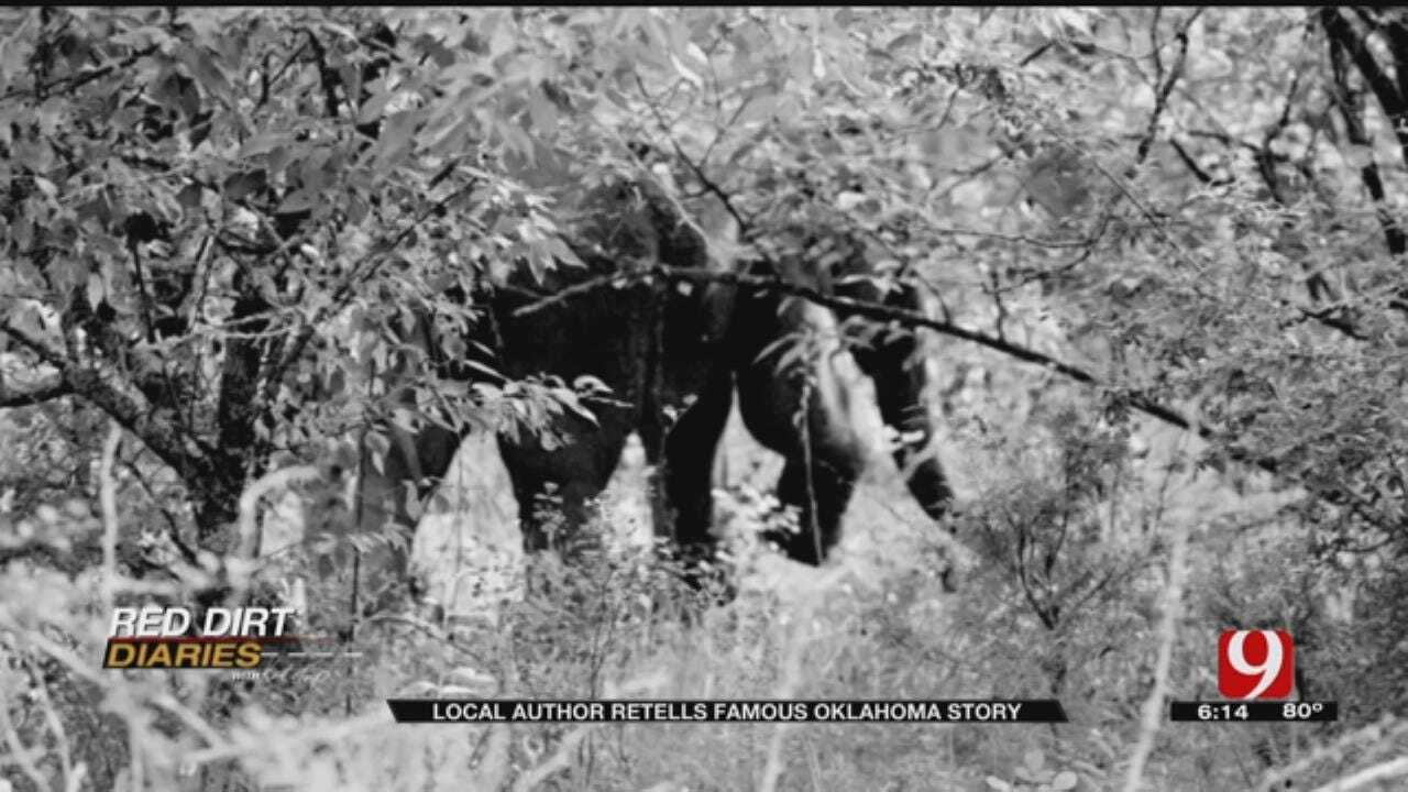 Red Dirt Diaries: Author Recalls Elephants' Adventure