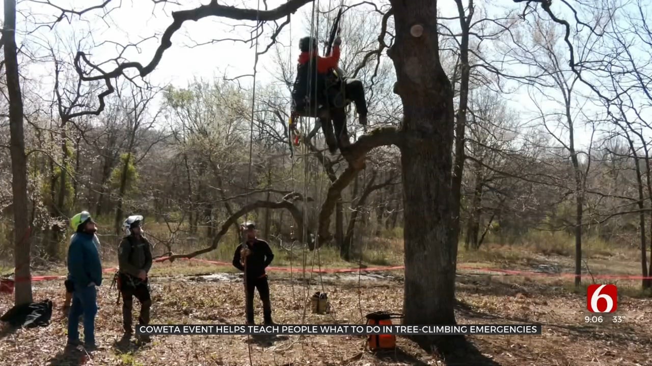 Coweta Event Teaches People What To Do In Tree-Climbing Emergencies