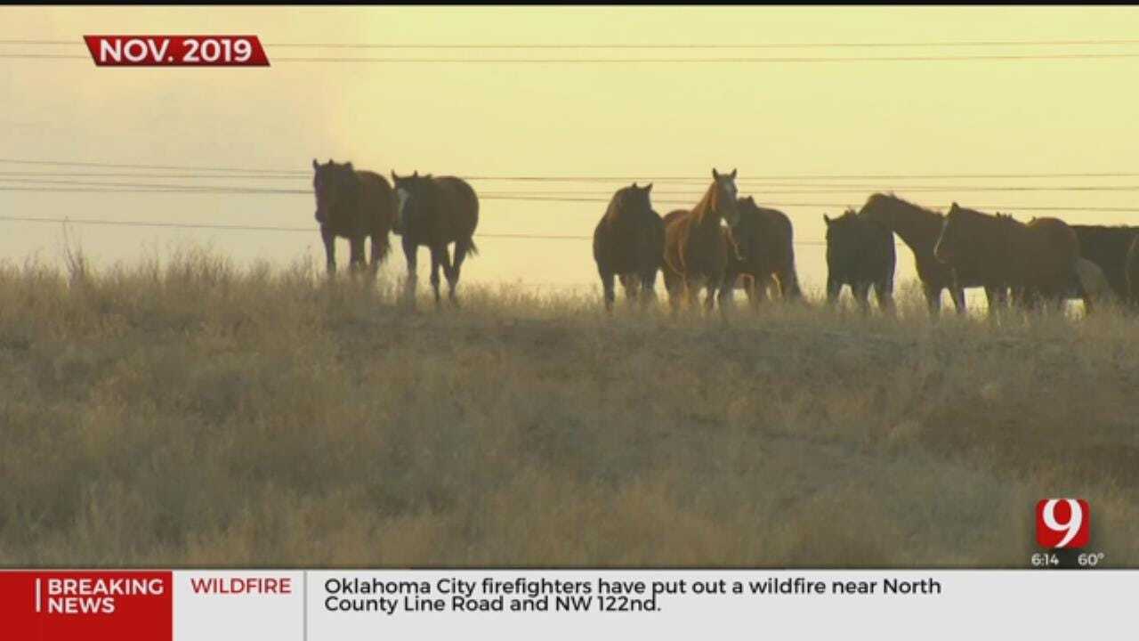 NW Oklahoma Therapy Ranch Reopens After Devastating Fire