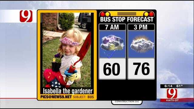 Jed's Bus Stop Forecast