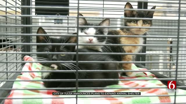City Of Tulsa Announces Plans To Expand Animal Shelter 