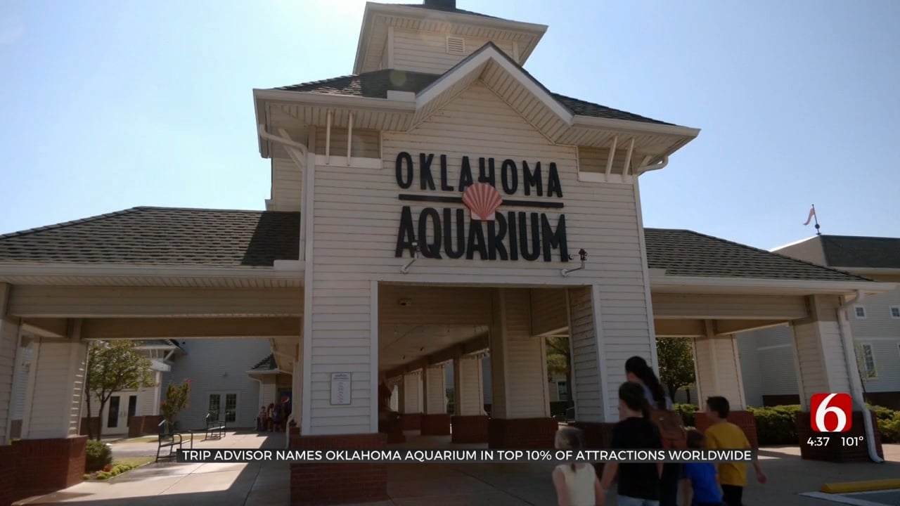 Trip Advisor Names Oklahoma Aquarium In Top 10% Of Attractions Worldwide