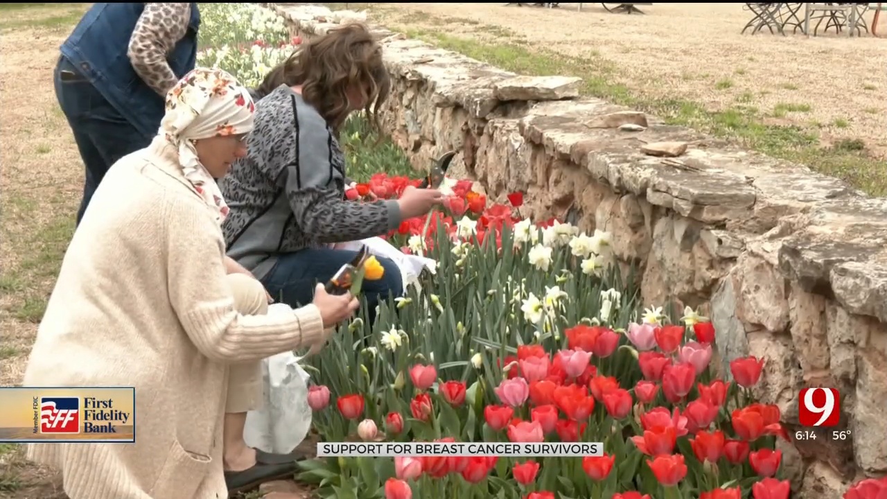 Tulips For Tatas Event For Breast Cancer, April 8th