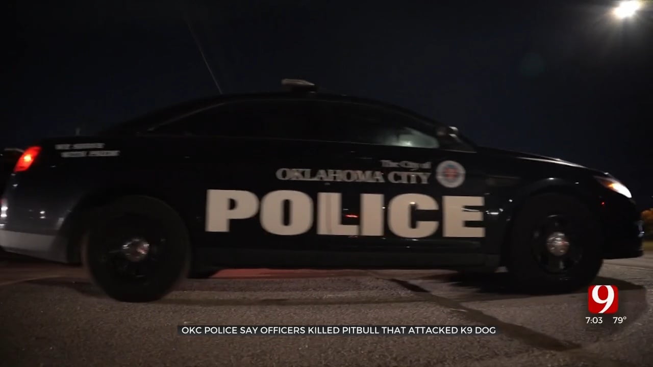 Dog Shot, Killed After Attacking OCPD K9 Dog In SE OKC
