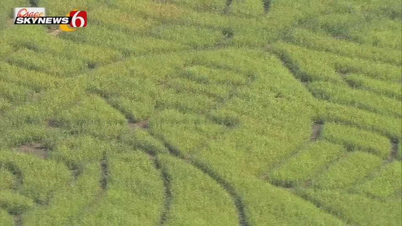 Osage SkyNews 6 HD Flies Over Corn Maze At Heritage Farm