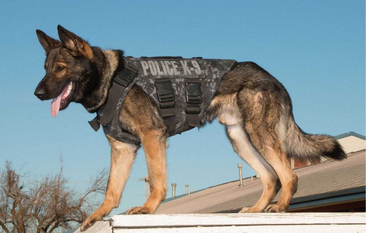 Oklahoma City Police Raising Funds To Honor Hardworking K-9 Officers