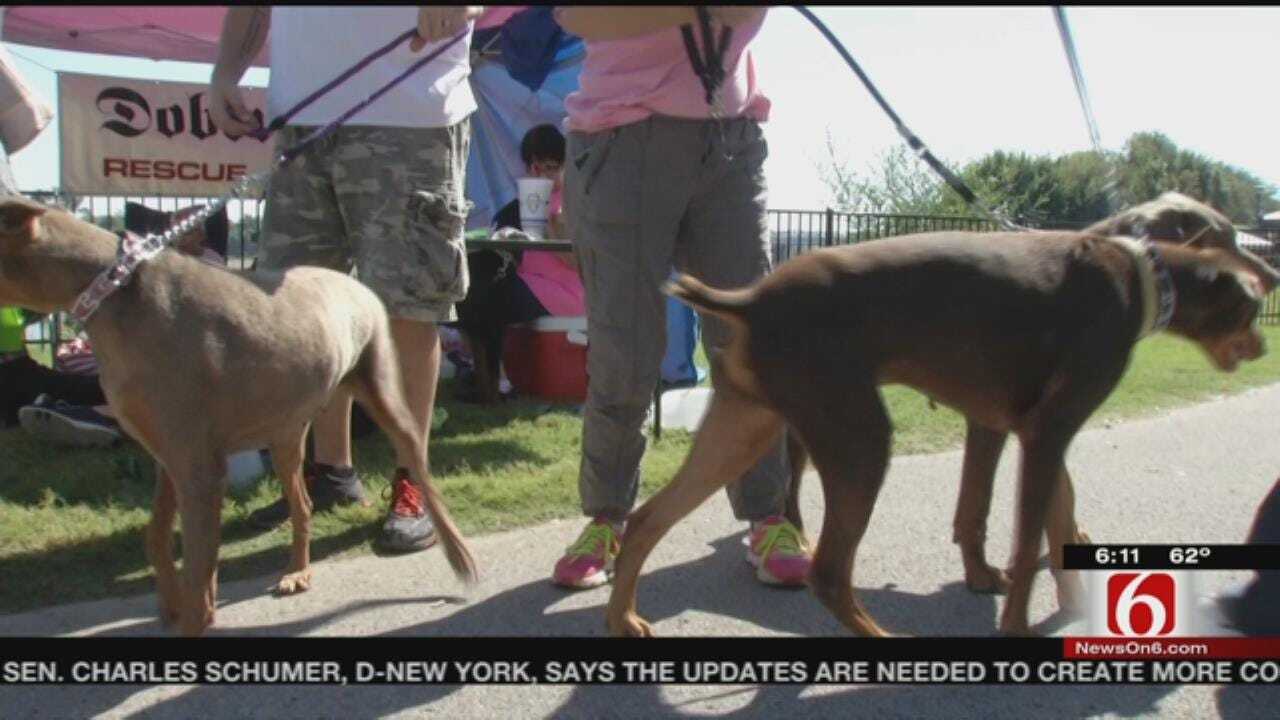 Riverwalk's 'Million Mutt March' Raises Awareness For Animal Cruelty
