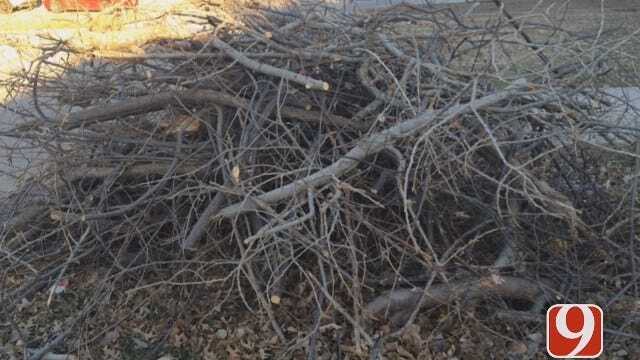 Second Round Of Ice Storm Debris Cleanup Set To Commence