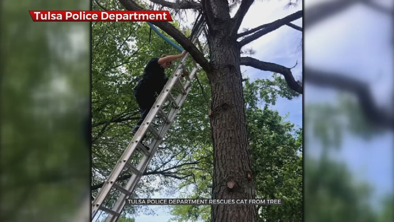 Tulsa Police Department Rescues Cat From Tree 