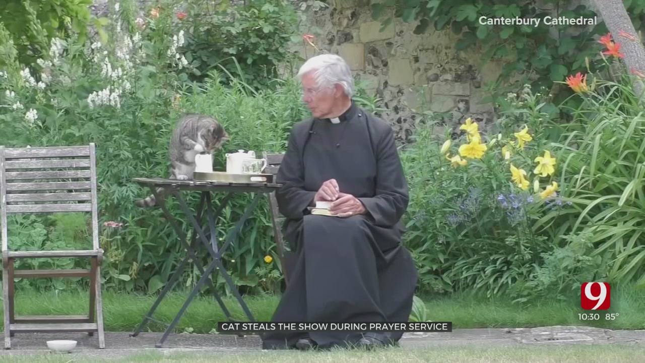 WATCH: Cat Steals The Show During Prayer Service