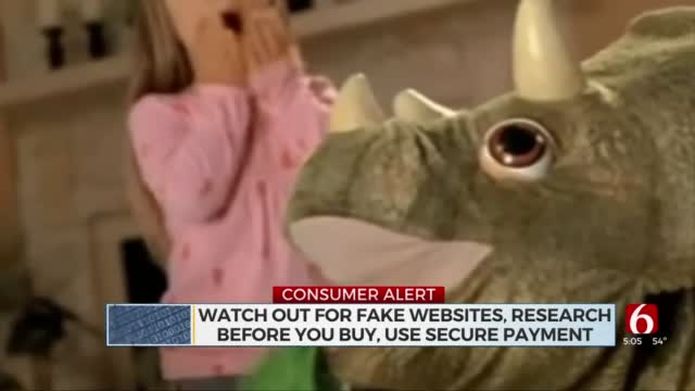 Online Shopping Scams Rise During Holiday Season 