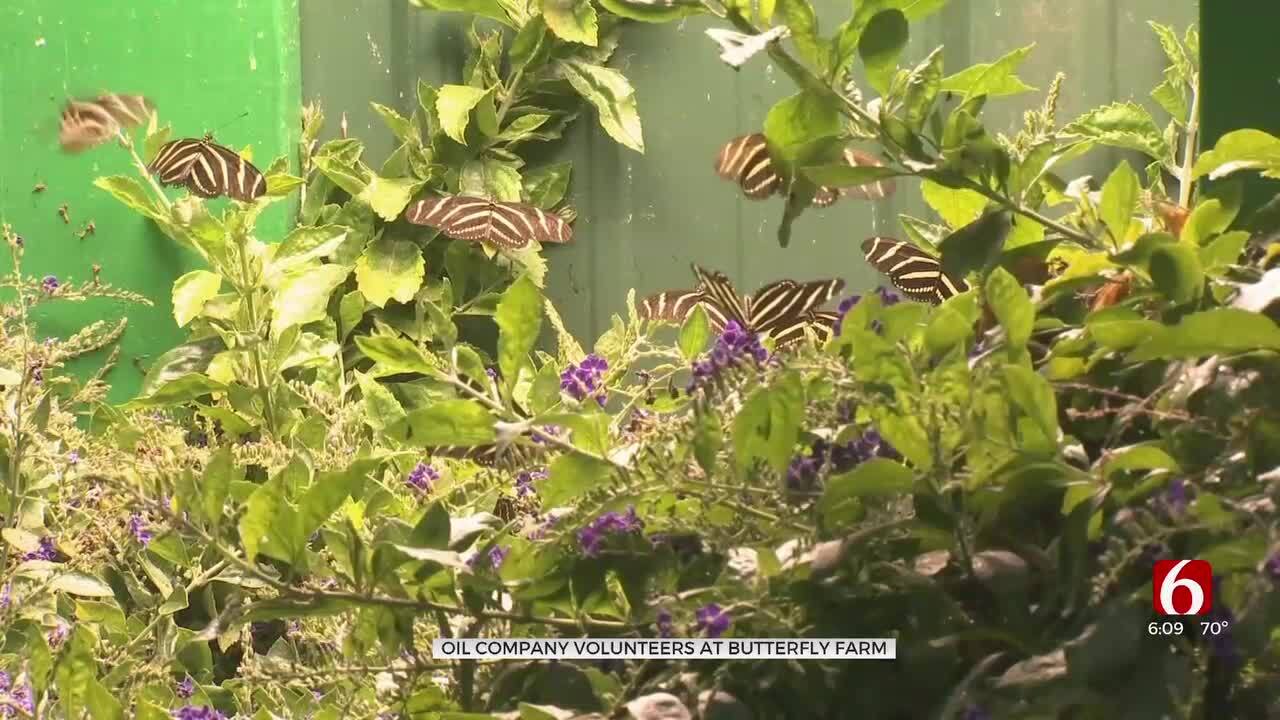 Williams Companies Volunteers At Euchee Butterfly Farm