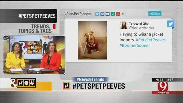 Trends, Topics, & Tags: #PetsPetPeeves