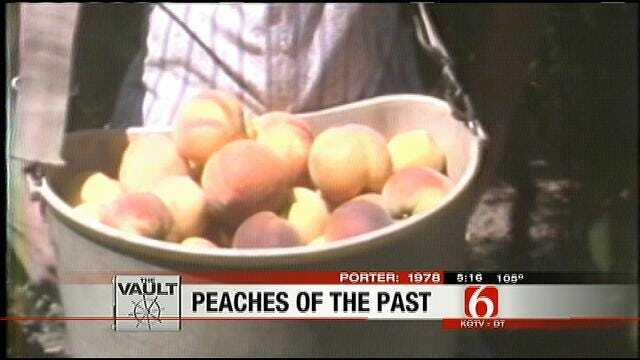 From The KOTV Vault: Crops Of Peaches, Crops Of News Stories