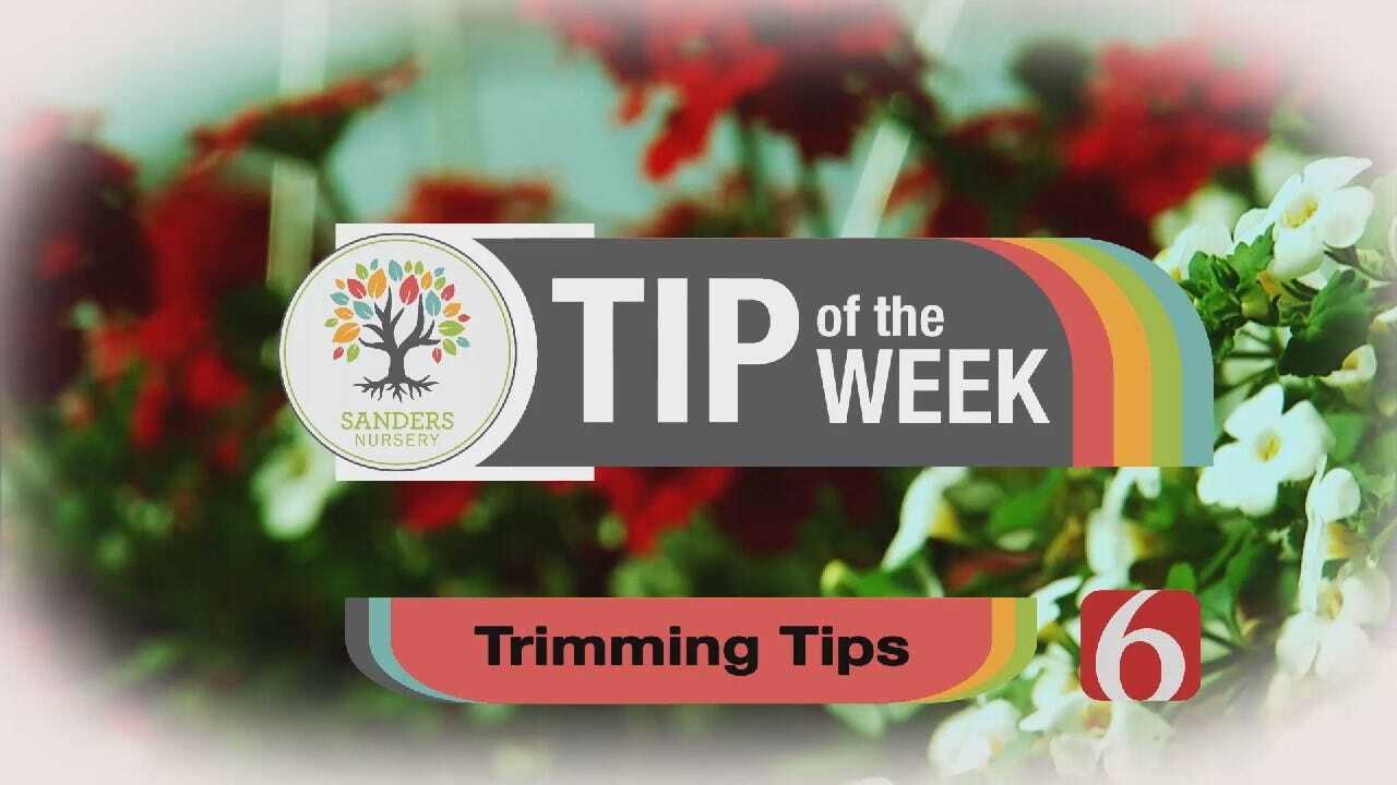 Tip of the Week 16