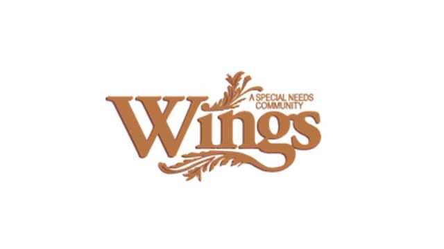 Found Causes: Wings