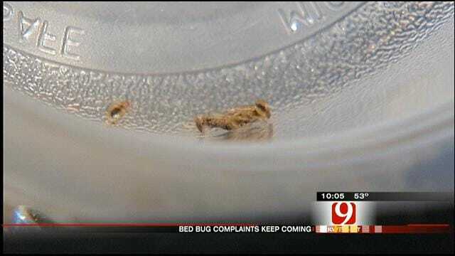 Third OKC Apartment Complex Reports Bed Bugs