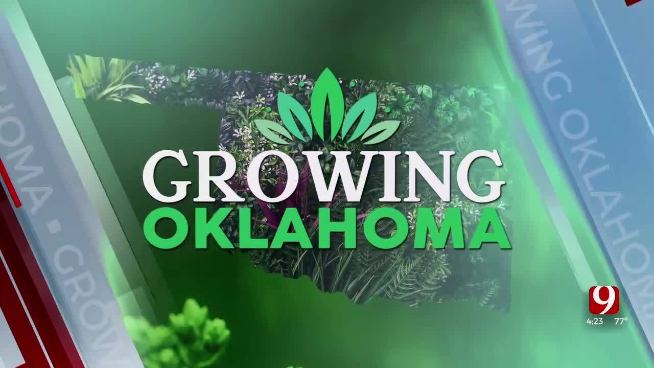 Growing Oklahoma: Reading Plant Labels