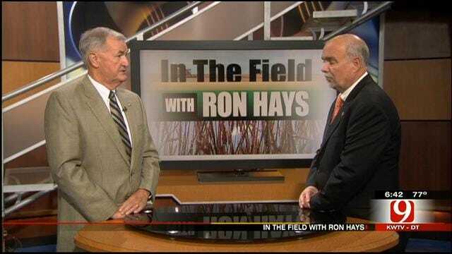 In The Field: Ron Sholar, Executive Director Of Oklahoma Oil Seed Commission